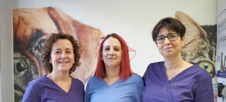 Equip de Clínica Veterinariaria Canaletes de Cerdanyola del Vallès