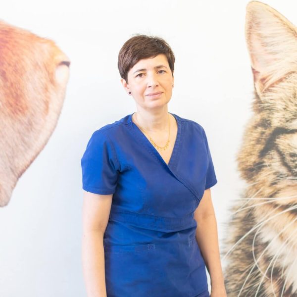 canaletes-veterinari-antonia (1)