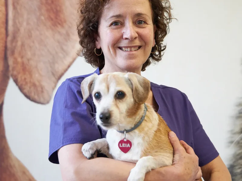 Veterinària Cristina Gambús amb gos a Clínica Veterinària Canaletes de Cerdanyola del Vallès