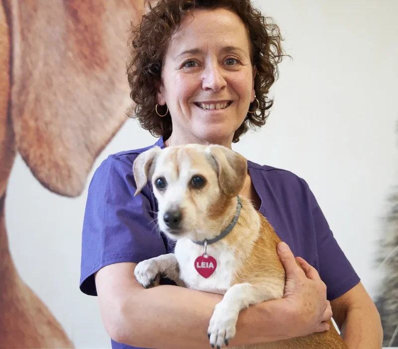 Veterinària Cristina Gambús amb gos a Clínica Veterinària Canaletes Veterinària Cristina Gambús amb gos a Clínica Veterinària Canaletes de Cerdanyola del Vallès